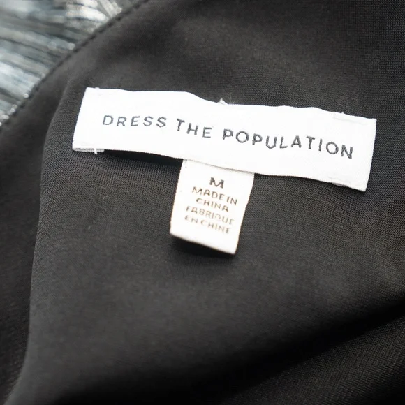 Dress The Population | Kienna Gown in Silver. New! - Picture 4 of 14